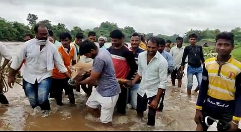 रोही प्राण्यास दिले जीवदान