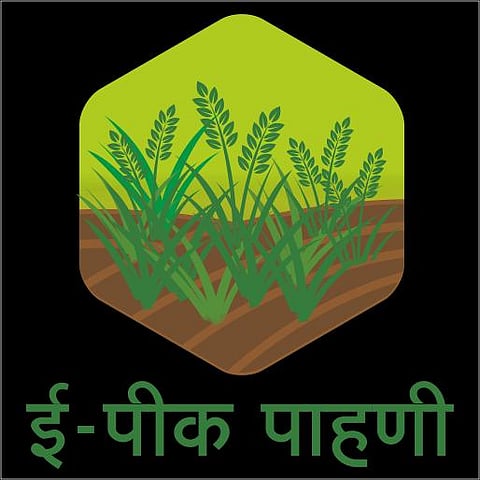 ई-पिक पाहणी प्रकल्पाला १५ ऑक्टोंबरपर्यंत मुदतवाढ