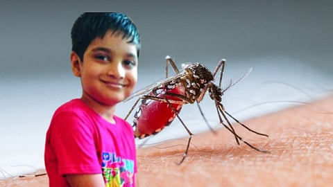 Dengue Death child
