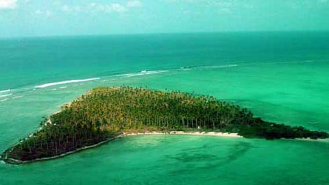 समुद्री सफारीचा आनंद घ्यायचाय? भारतातील 'या' ठिकाणी भेट द्या