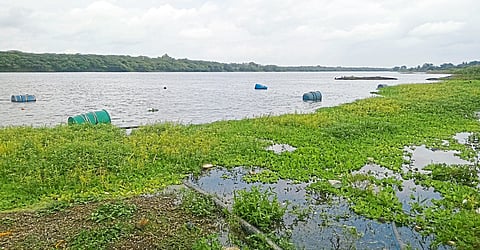 ujani dam