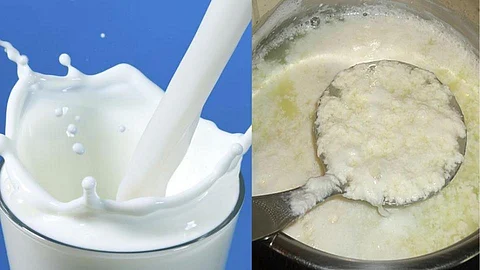 Milk