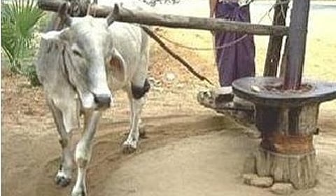 सर्वाधिक विक्रीत सरकी तेल २० वर्षे पहिल्या क्रमांकावर