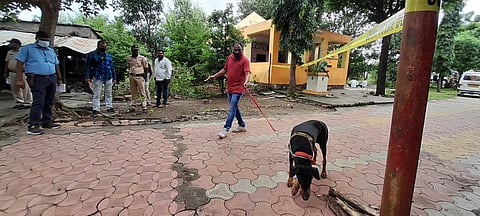 वाशीम : मंदिरावरील रखवालदार दाम्पत्याची हत्या