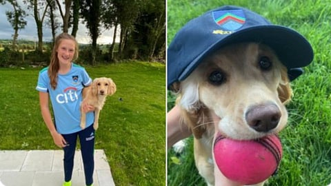 VIDEO : सोशल मीडियावर रंगलीये श्वानाच्या खतरनाक फिल्डिंगची चर्चा