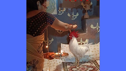 किती हे प्रेम! चक्क कोंबड्याचा वाढदिवस केला साजरा