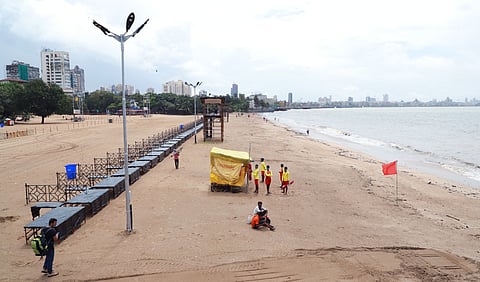 Ganpati visarjan bmc preparation