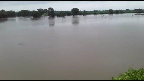 निलंगा : मांजरा नदीने धोक्याची पातळी ओलांडली