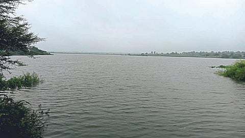 अक्कलकोट तालुक्यातील उत्तर भागात दमदार तर दक्षिणमध्ये पावसाची तुरळक हजेरी