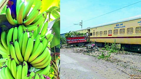 Railway Banana wagons