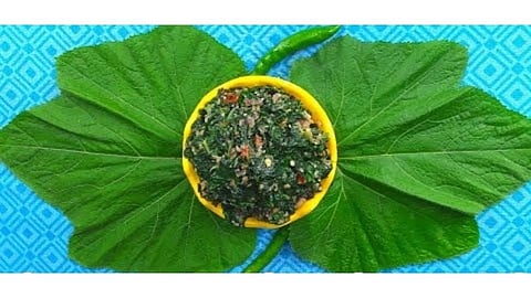 अस्सल गावरान चवीची भोपळ्याच्या पानांची भाजी; एकदा ट्राय कराच