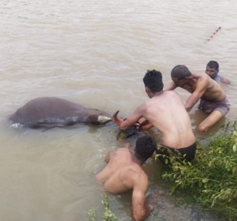 बुडणाऱ्या शेतकऱ्याचे दोघांनी थरारक पद्धतीने वाचविले प्राण