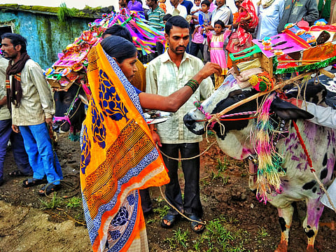 बैलपोळा