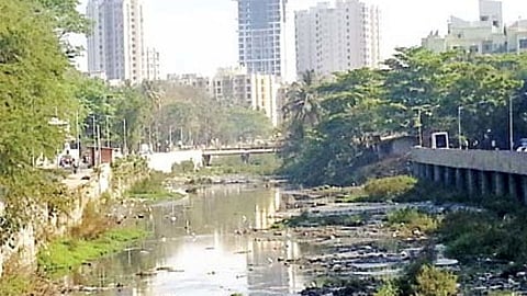 Dahisar River