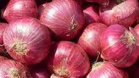 onion