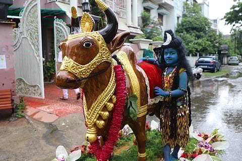 nandi