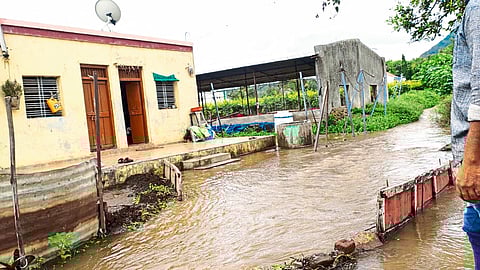 Damage to agriculture due to canal breach