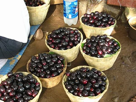 Mumbai