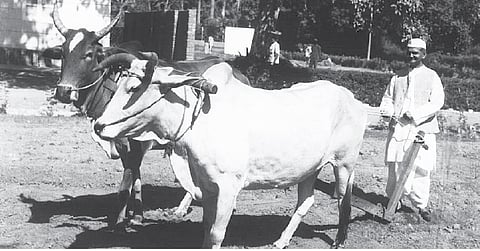 Lal bahadur shastri jayanti: संवेदनशील साधेपणा...