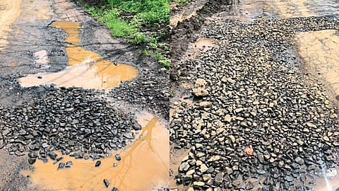 नाशिकच्या ‘ वायनरी स्ट्रीट’ची उडाली त्रेधातिरपीट