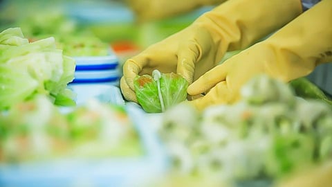 प्रोसेस्ड फूडचं भरपूर सेवन करताय? स्मृतीवर होऊ शकतो परिणाम : Study