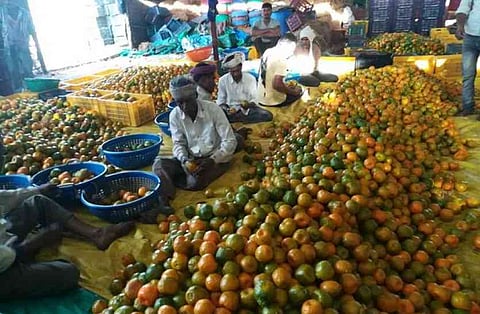 शेतकऱ्यांची लुटीकडे नेत्यांचे दुर्लक्ष