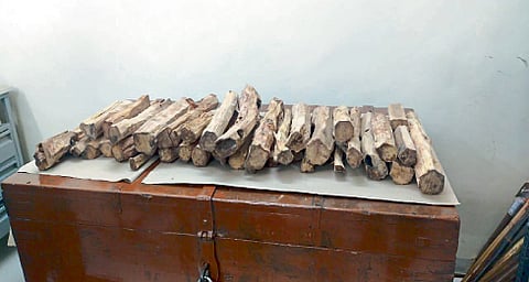 चंदनाचे लाकूड