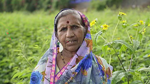 An energetic journey of Navdurga blossoming paradise in agriculture