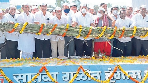 काळम्मा बेलेवाडी ः सरसेनापती संताजी घोरपडे साखर कारखान्याच्या सातव्या हंगामाचा गव्हाणीत मोळी टाकून प्रारंभ करताना ग्रामविकास मंत्री हसन मुश्रीफ, अध्यक्ष नवीद मुश्रीफ, युवराज पाटील, गणपतराव फराकटे, प्रताप उर्फ भय्या माने, प्रवीणसिंह भोसले, संजय घाटगे आदी.