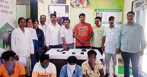 कऱ्हाड : मांडूळ, कासवाची तस्करी करणाऱ्या चौघांची टोळी गजाआड