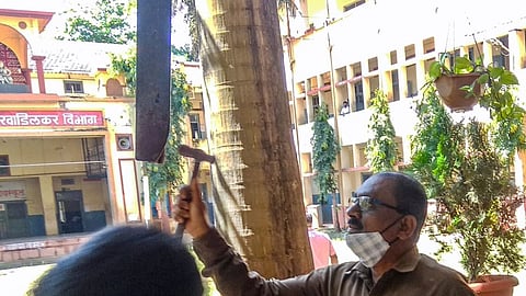 दीड वर्षानंतर भरली शाळा; चिमुकल्यांच्या किलबिलाटानं परिसर गजबजला