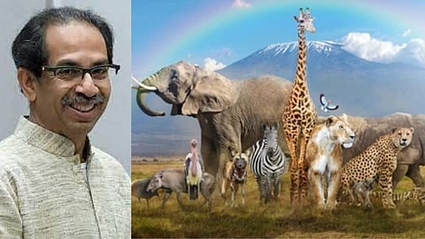 Uddhav Thackeray