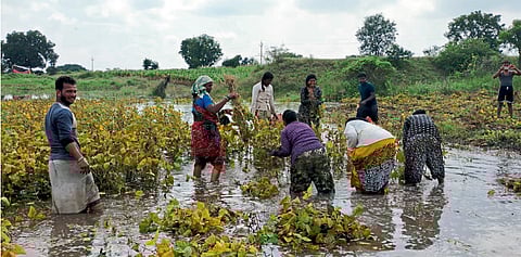 अतिवृष्टी