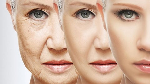 चिरतारूण्य टिकवण्यासाठी आहारात करा 'या' 5 फूडचा समावेश
