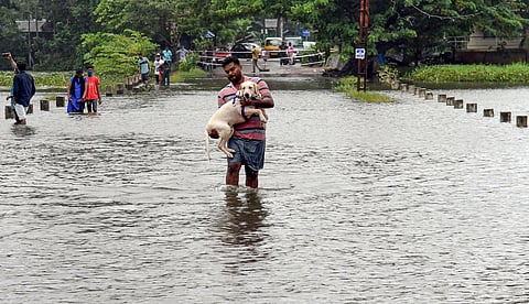 उत्तराखंड, केरळमध्ये मुसळधार; महाराष्ट्रातील ११ जिल्ह्यांना 'यलो' अलर्ट