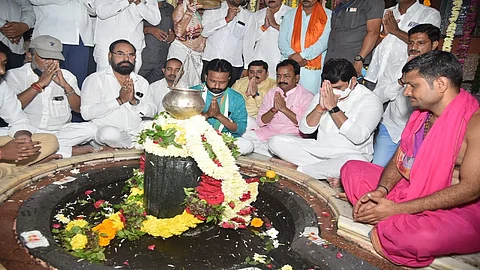 परळी (जि.बीड) : सामाजिक न्यायमंत्री धनंजय मुंडे यांनी प्रभू वैजनाथांचे दर्शन घेतले.