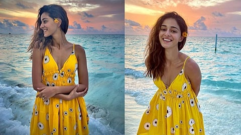 'NCB'च्या निशाण्यावर असलेली अनन्या पांडे आहे कोण?