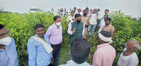 शेतीची पाहणी