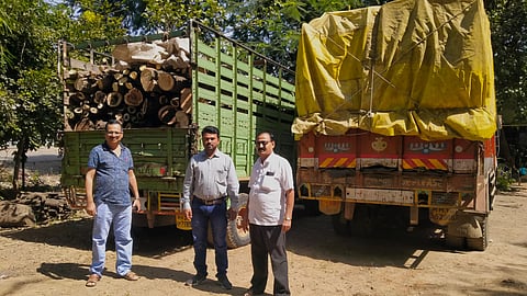 Action on illegal timber transport by forest department