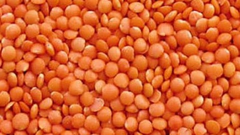 Masoor Dal