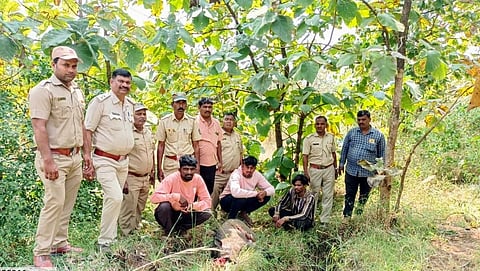 शिकाऱ्यांची टोळी जेरबंद; सहा हातबॉम्बसह दोन दुचाक्या जप्त