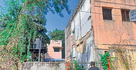 शाळेत झुडपं की झुडपांत शाळा!