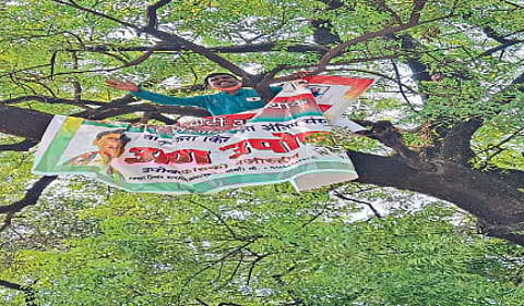 वॉर्डाचा विकास करा किंवा माझ्यावर अंत्यसंस्कार करा!