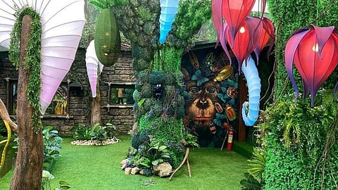 Bigg Boss 15 : जंगल नाही हे आहे 'बिग बॉस'चं नवीन घर