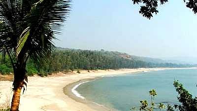 अलिबागमध्ये D-Mart संस्थापकांचं घरकुल; किंमत वाचून विस्फारतील डोळे!