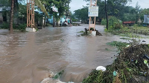 damage to agriculture due to havy rains in rahuri taluka