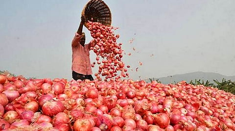 Onion Export Duty : कांदा निर्यातीवर अघोषित बंदी? निर्यातमूल्य डॉलर 800 वाढ