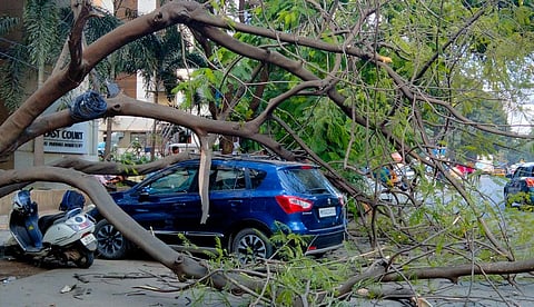 झाड कोसळून वाहनांचे नुकसान