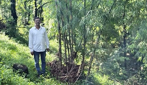 गलेलठ्ठ पगाराची नोकरी सोडून धरली शेतीची कास