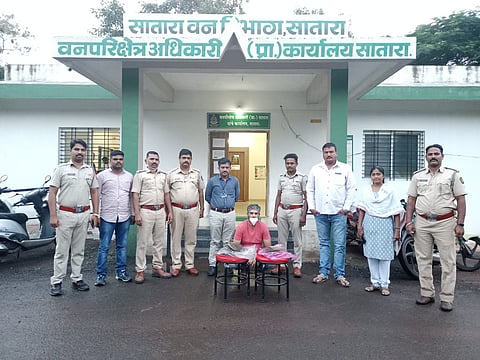 इंद्रजाल विक्रीप्रकरणी सातारा, कऱ्हाडामध्ये वन विभागाचे छापे